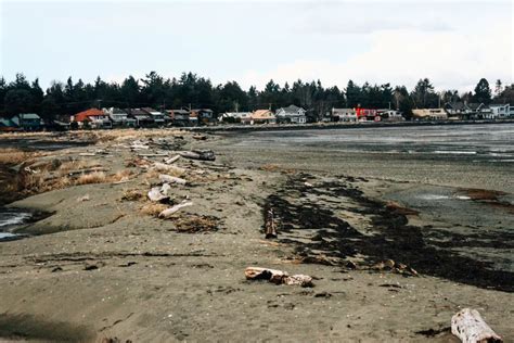 Boundary Bay Regional Park, Tsawwassen | Vancouver Trails