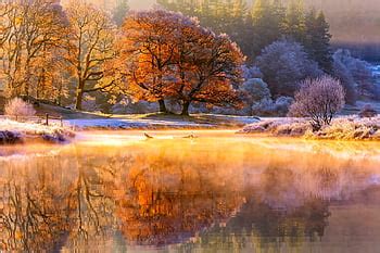 Reflection, garden, bridge, autumn, lake HD wallpaper | Pxfuel