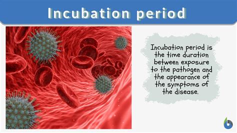 Incubation period Definition and Examples - Biology Online Dictionary