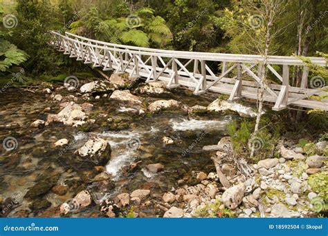 Hanging bridge stock photo. Image of trail, cranky, stream - 18592504