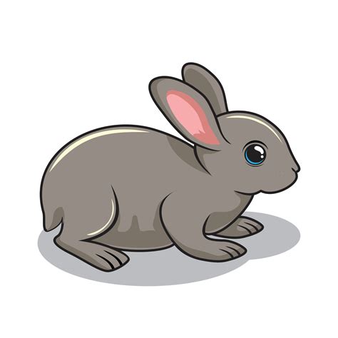 Bunny Cartoon