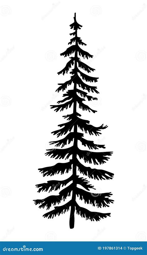 Black Silhouette of Fir-tree, Christmas Tree, Simple Raster Icon, Nature Concept, Black Tree ...