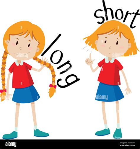 Opposite adjectives long and short Stock Vector Image & Art - Alamy