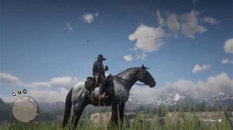 Woodpecker Location - Red Dead Redemption 2 - YouTube