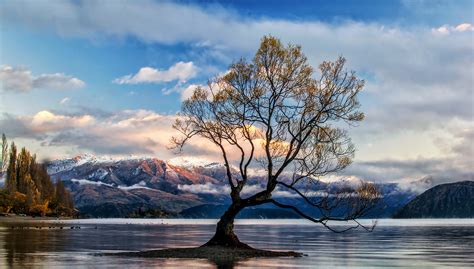 Lone Tree Lake Wanaka Wallpaper,HD Nature Wallpapers,4k Wallpapers,Images,Backgrounds,Photos and ...