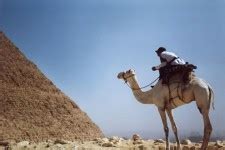 Painting Of Pyramid And Camel Free Stock Photo - Public Domain Pictures