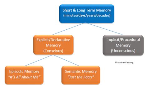 Short Term Memory and Long Term Memory - MemoryHealthCheck