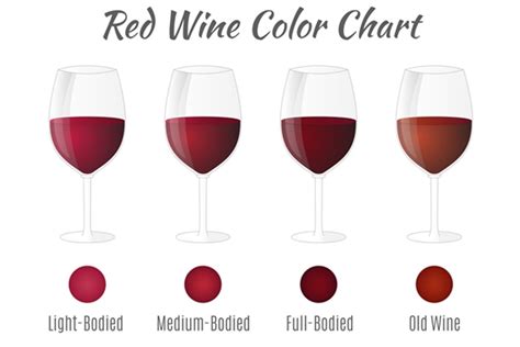 Red wine color chart. | Custom-Designed Graphic Objects ~ Creative Market