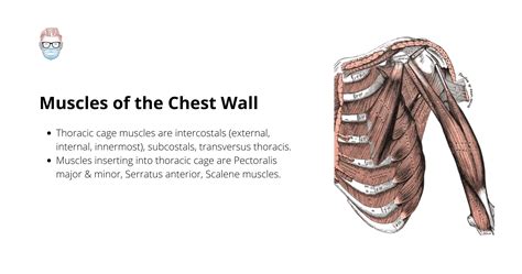 Principles of Chest Wall Reconstruction