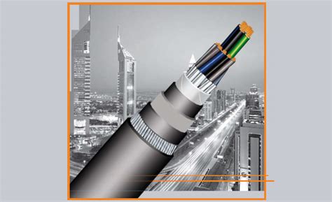 Ducab Instrumentation and Pilot Cables (Dubai Cable Company (Pvt) Ltd ...