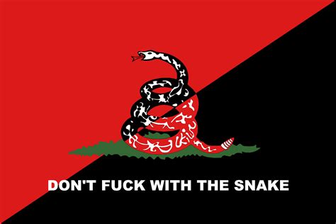 Anarcho-syndicalist/punk Gadsden Flag : vexillology