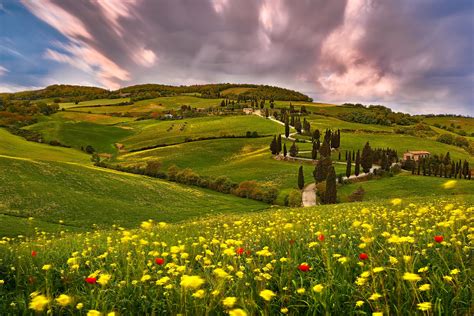 Download Italy Meadow Hill Flower Cloud Summer Photography Tuscany HD ...