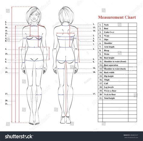 Woman Body Measurement Chart Scheme For Measurement Human Body For | Images and Photos finder