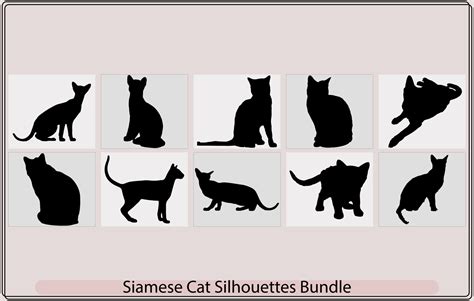 Siamese colorpoint cats. Vector illustration,Siamese cat,cats border ...