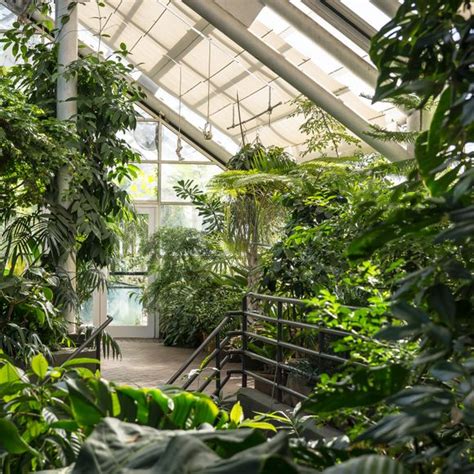 Brooklyn Botanic Garden – Brooklyn, New York - Atlas Obscura