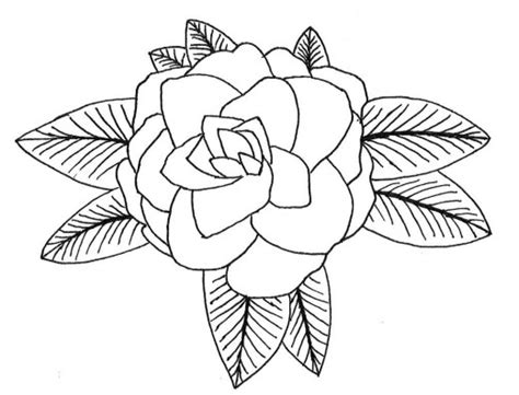 Alabama Coloring Pages | HubPages