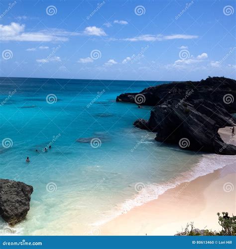 Bermuda horseshoe bay stock photo. Image of coral, pink - 80613460