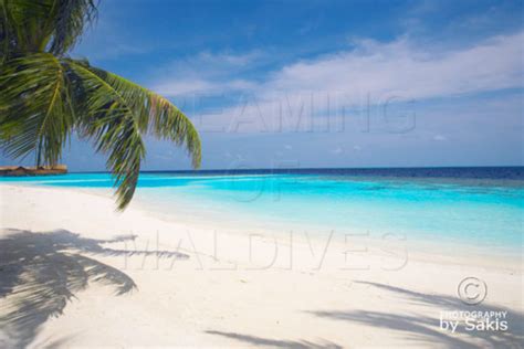 Discover Lily Beach Maldives in 35 beautiful Photos | New Photo Gallery