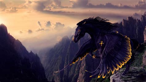 Black Pegasus - Fantasy art wallpaper - backiee