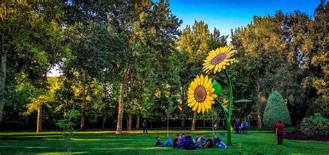 10 Most Attractive Tehran Parks Worth a Visit | Apochi.com