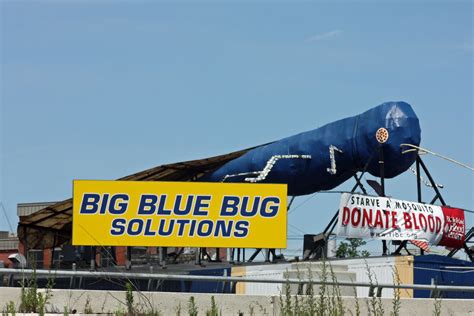 BIG BLUE BUG | The Big Blue Bug, also known as Nibbles Wooda… | Flickr