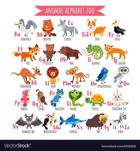 Zoo alphabet a-z animal alphabet poster Royalty Free Vector | Animals ...