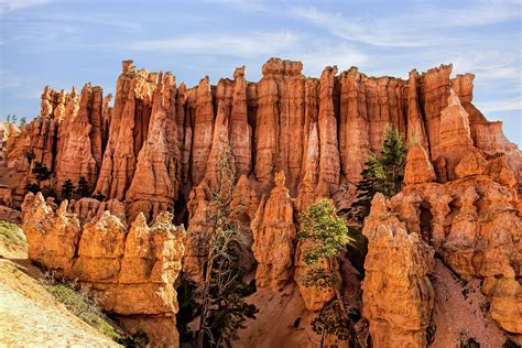 Bryce Canyon Hoodoos Photograph by Francis Sullivan