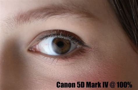 Canon 5D Mark IV sample images « NEW CAMERA