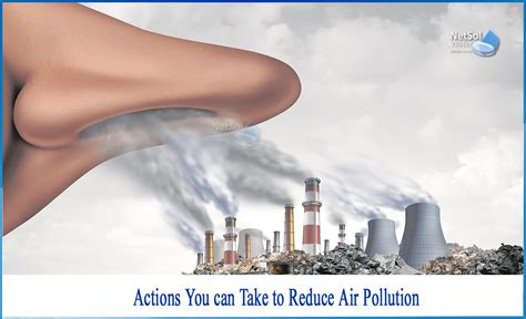 10 Common Diseases Caused By Air Pollution In Pics, 50% OFF