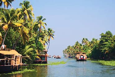 Tourism in Cochin: Things to do in Cochin