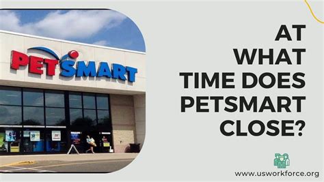 Petsmart Holiday Hours 2025 - Moll Domeniga