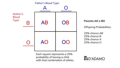 Thank Your Dad — for Your Blood Type: The Science of ABO Inheritance ...