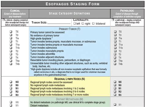 Gastric Cancer Staging Pdf - tangkomidarefoy