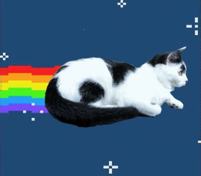 Nyan Cat: o meme que marcou a internet