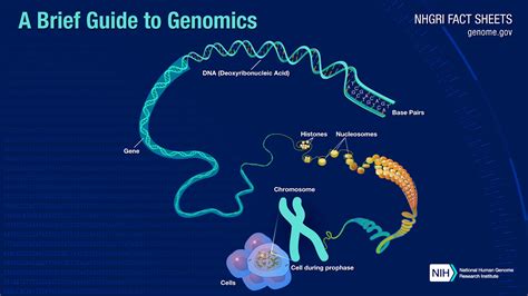 Genome Sequencing Lab - Officers Pulse