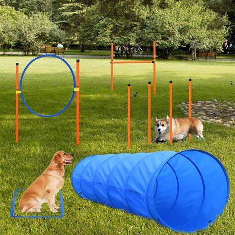 Buy XiaZ Dog Agility Equipments, Obstacle Courses Training Starter Kit ...