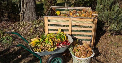 How to successfully compost?