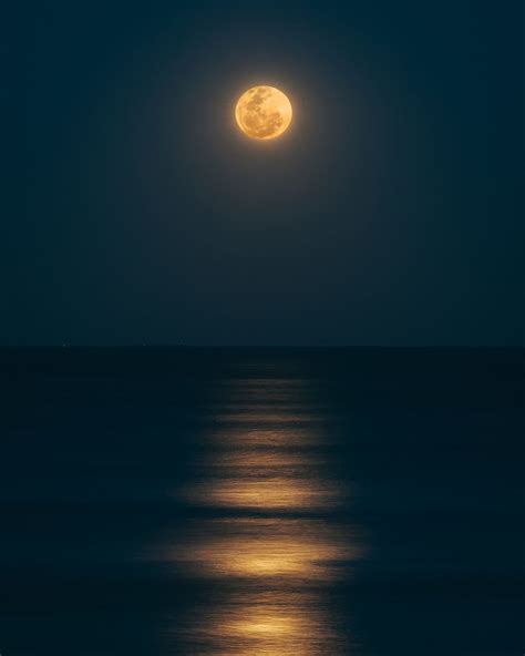 HD wallpaper: body of water under full moon, sea, night, ocean, dark, moonlight | Wallpaper Flare