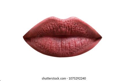 Human Lips Texture