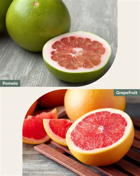 Pomelo vs. Grapefruit: What’s the Difference Between the Two? | The Kitchn