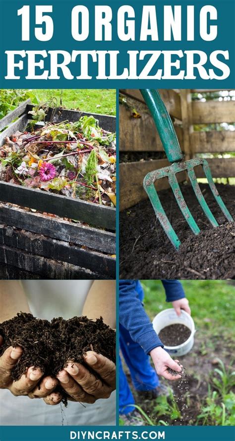 15 DIY Organic Fertilizer Recipes for Your Garden | Natural plant fertilizer, Organic fertilizer ...