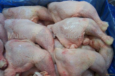 chicken paws products,Germany chicken paws supplier