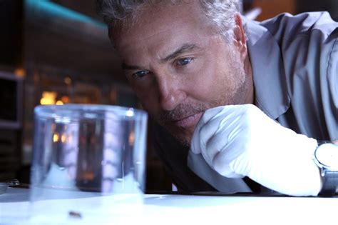 'CSI: Vegas': Which Original 'CSI' Cast Members Are Returning for the Reboot?