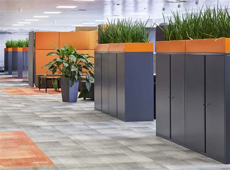 The best office plants for open plan areas - Benholm