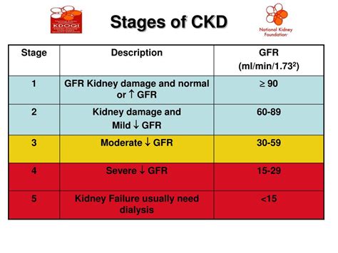 PPT - The National Kidney Foundation’s Kidney Early Evaluation Program ...