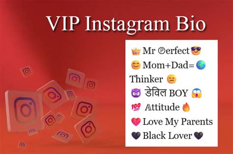 336+ Vip Bio for Instagram And Facebook