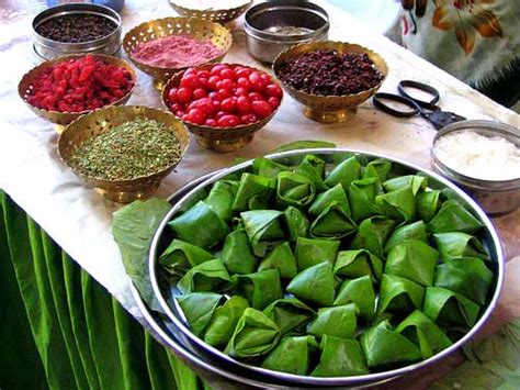 Betel Plant Benefits: 12 Medicinal Uses You Can Never Guess