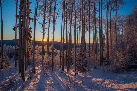 Fairbanks in winter. Best way to get there is the Aurora Winter Train ...