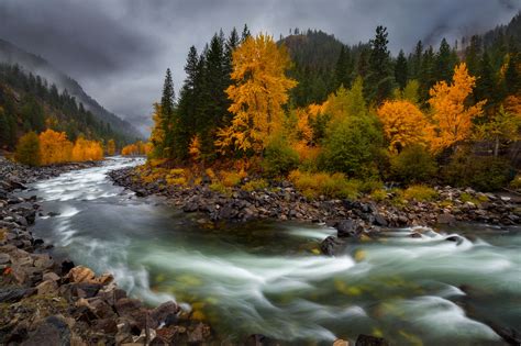 Download Fall Forest Nature River HD Wallpaper