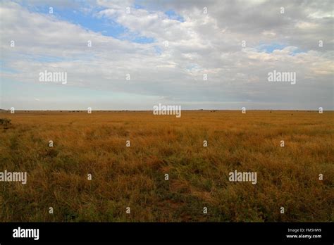 Vast open plains hi-res stock photography and images - Alamy